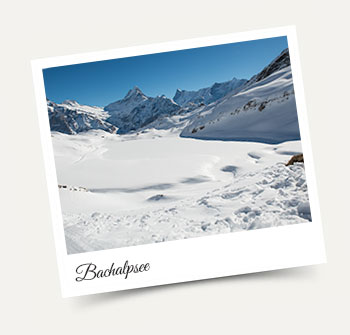 Visit the Bachalpsee in the Jungfrau Region