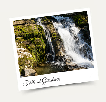 Giessbach Falls - Wengen excursion